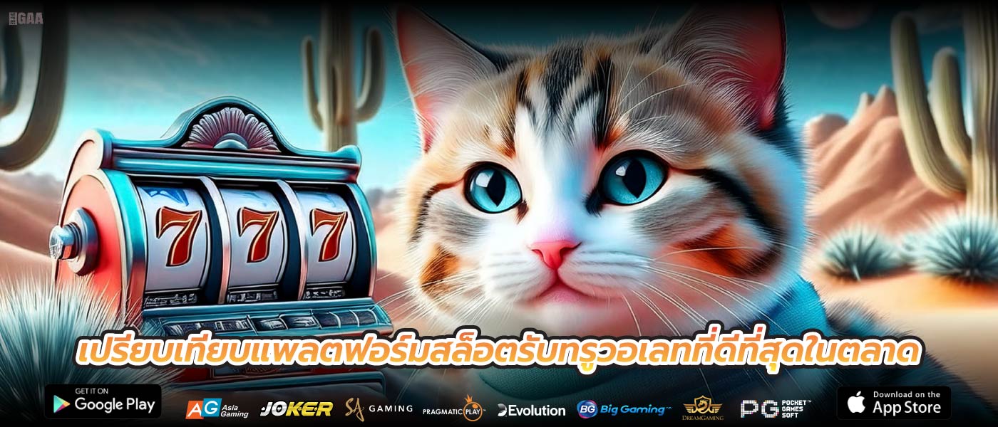 เปรียบเทียบแพลตฟอร์มสล็อตรับทรูวอเลทที่ดีที่สุดในตลาด